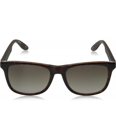 CA5025/S Rectangular Sunglasses - Havana Brown & Brown Gradient - CD11WXLZ1O1 $34.05 Rectangular