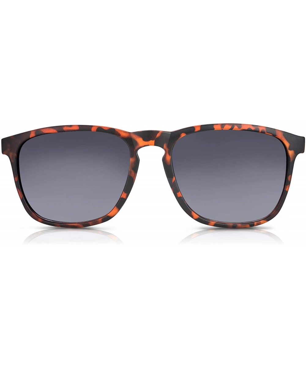 Notable Large Bifocal Reader Sunglasses - Tortoise - CO18GAQQRM7 $18.60 Oval