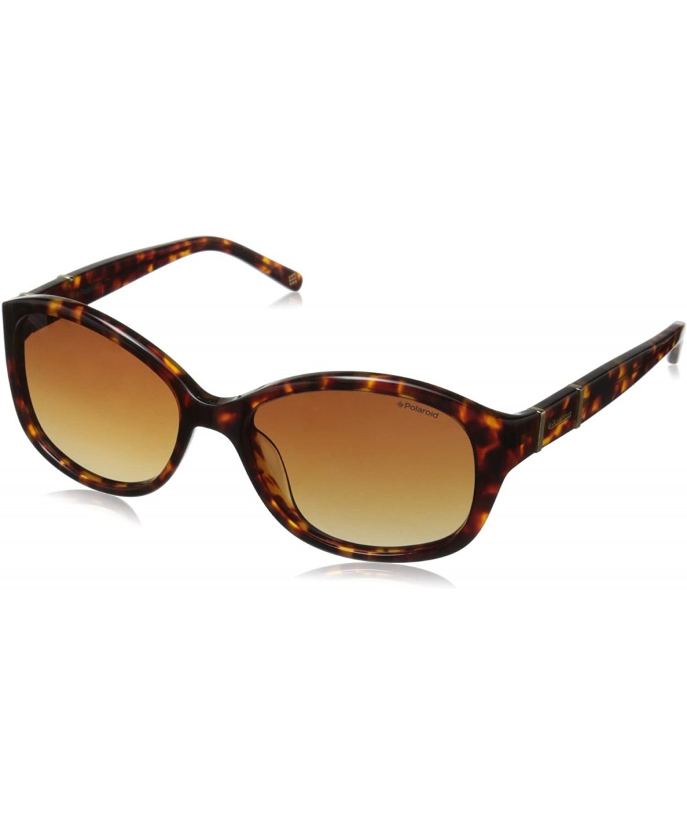 Womens Pld4019s Oval Sunglasses - Havana/Brown Polarized - CZ12C7MLDNN $41.70 Oval