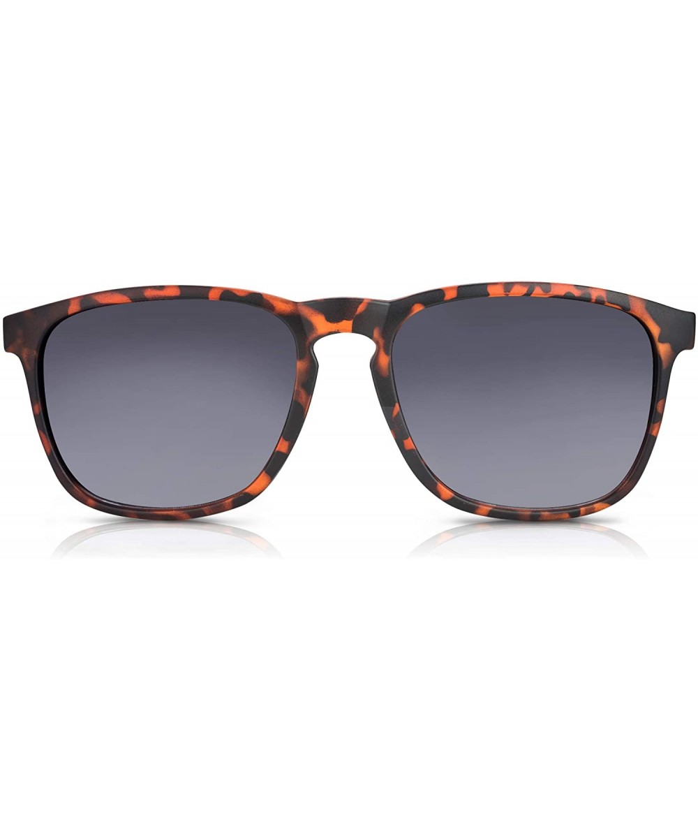 Notable Large Bifocal Reader Sunglasses - Tortoise - CH18GAQK022 $17.86 Wayfarer