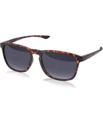 Notable Large Bifocal Reader Sunglasses - Tortoise - CH18GAQK022 $17.86 Wayfarer