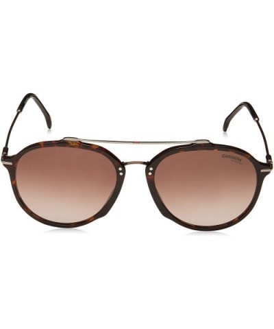 Men's 171/S Round Sunglasses - Dark Havana/Brown Gradient - C418IRUMSOA $43.75 Square