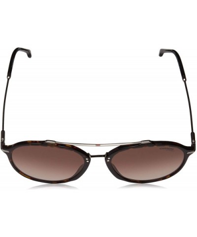 Men's 171/S Round Sunglasses - Dark Havana/Brown Gradient - C418IRUMSOA $43.75 Square